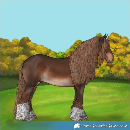 Horse Color:Liver Chestnut Tobiano Rabicano 