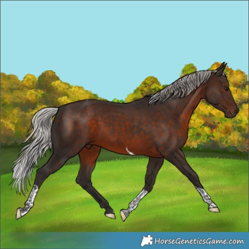 Horse Color:White Spotted Silver Brown Tobiano Rabicano 