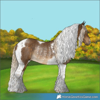 Horse Color:Chocolate Palomino Tobiano Rabicano 