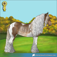 Horse Color:Chocolate Palomino Tobiano Rabicano 