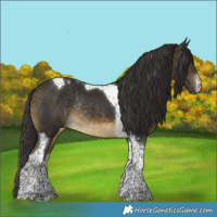 Horse Color:White Spotted Buckskin Tobiano Rabicano