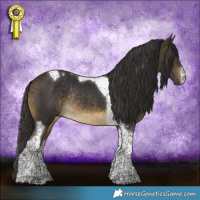 Horse Color:White Spotted Buckskin Tobiano Rabicano
