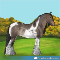 Horse Color:Brown Dun Tobiano Rabicano