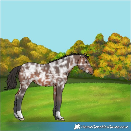 Horse Color:Brown Ice 