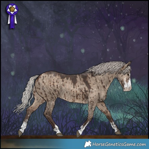 Horse Color:Silver Bay Dun Sabino Rabicano Brindle 