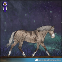 Horse Color:Silver Bay Dun Sabino Rabicano Brindle 