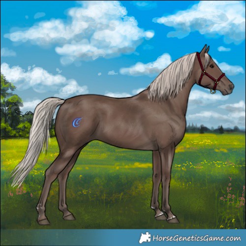 Horse Color:Silver Black 