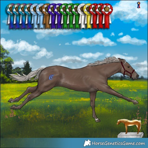 Horse Color:Silver Black 