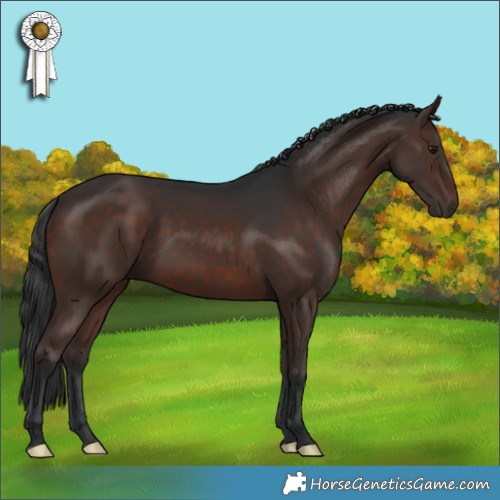 Horse Color:Brown Rabicano 