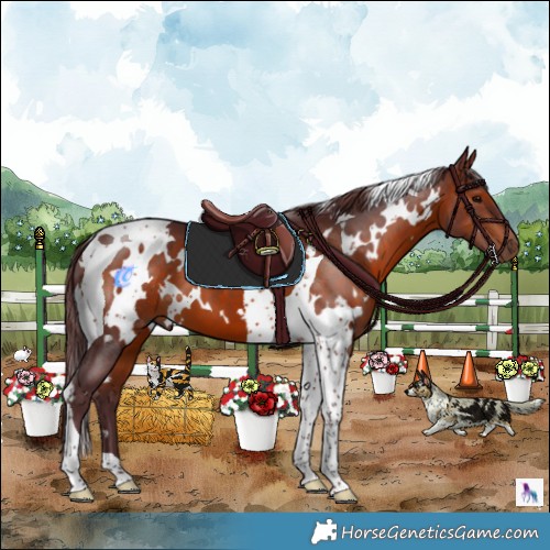 E11 BAThe Twilight Zone 3GA