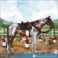 Horse Color:White Spotted Chocolate Bay Tobiano 