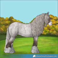Horse Color:Silver Blue Roan Splash 