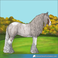 Horse Color:Silver Blue Roan Splash Tobiano 