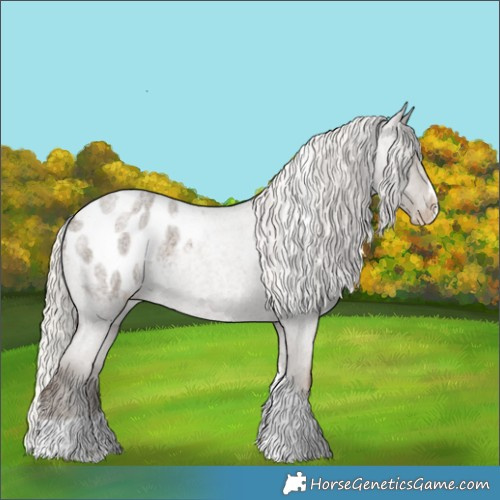 Horse Color:Silver Smoky Blue Roan Splash Tobiano Appaloosa 