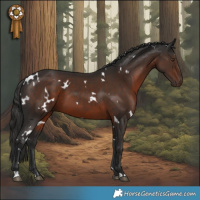 Horse Color:White Spotted Liver Chestnut 