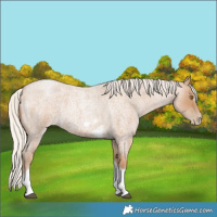 Horse Color:Silver Blue Roan Pearl Tobiano Frame 