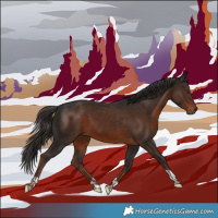 Horse Color:Liver Chestnut Tobiano 