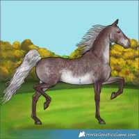 Horse Color:Chocolate Silver Brown Chinchilla 