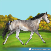 Horse Color:White Spotted Brown Ice Onyx Rabicano 