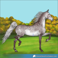 Horse Color:Chocolate Silver Brown Chinchilla 