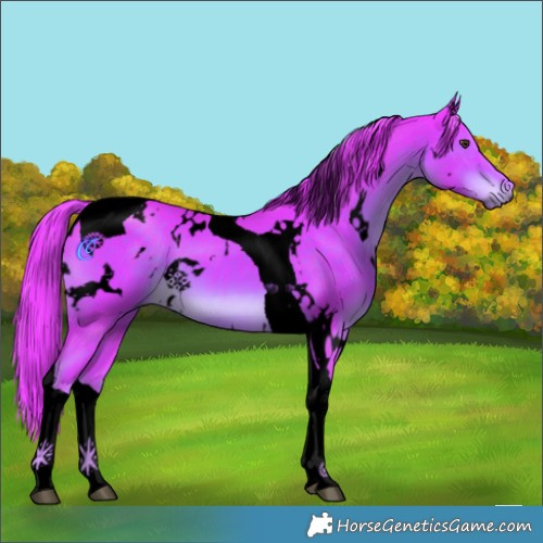 Horse Color:Void Watercolor White Spotted Liver Chestnut Tobiano 