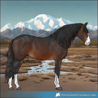 Horse Color:Brown 