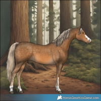 Horse Color:Chocolate Palomino 