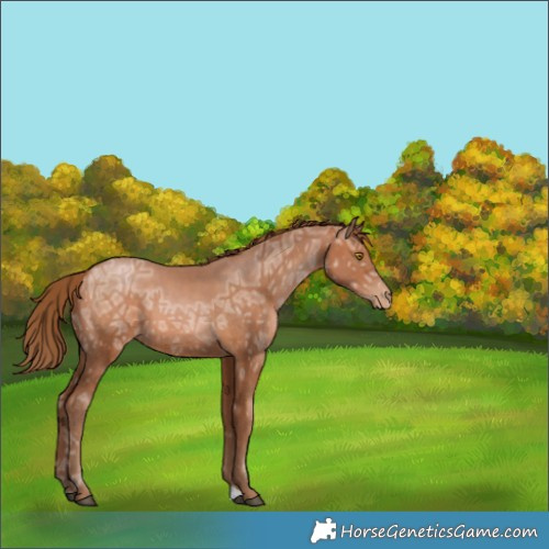 Horse Color:Brown Ice Pearl 