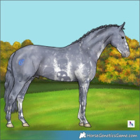 Horse Color:Watercolor Black Sabino 