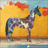 Horse Color:White Spotted Black