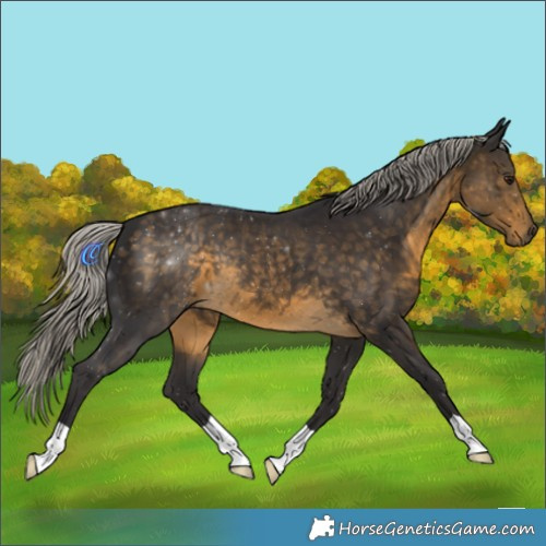 Horse Color:Silver Buckskin 