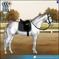 Horse Color:Gray White Spotted Chestnut Splash 