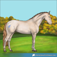 Horse Color:Smoky Black Pearl Rabicano 