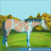 Horse Color:Thunderstruck Bay Dun 