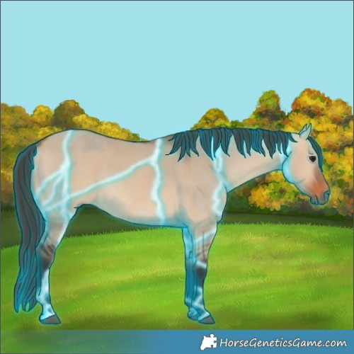 Horse Color:Thunderstruck Bay Dun 