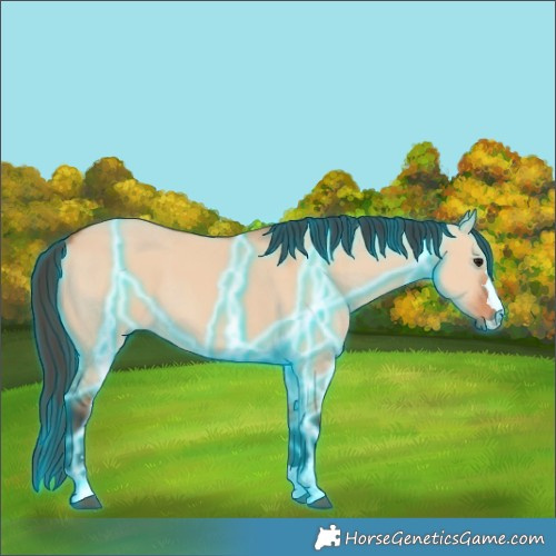 Horse Color:Thunderstruck Bay Dun 