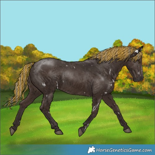 Horse Color:Painted White Spotted Liver Chestnut Mushroom 