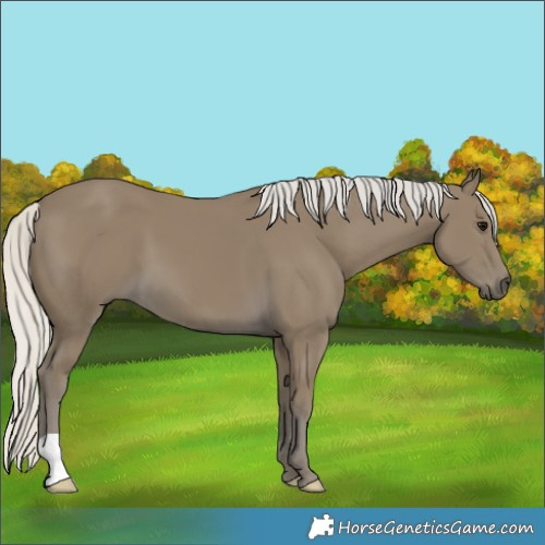 Horse Color:Silver Smoky Black 