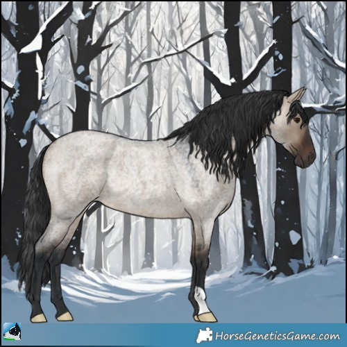 Horse Color:Brown Roan Dun Rabicano 