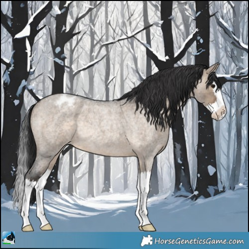 Horse Color:Brown Roan Dun Splash Appaloosa Rabicano 