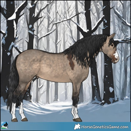 Horse Color:Brown Dun 