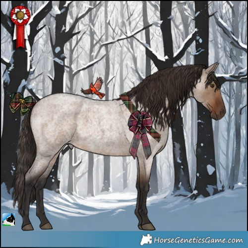 Horse Color:Liver Red Dun Roan 