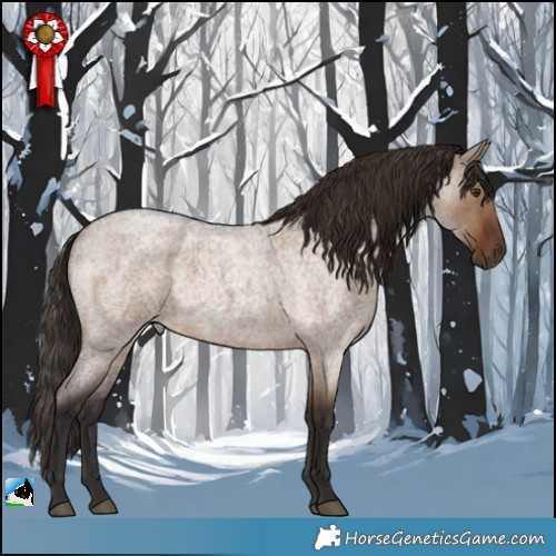 Horse Color:Liver Red Dun Roan 