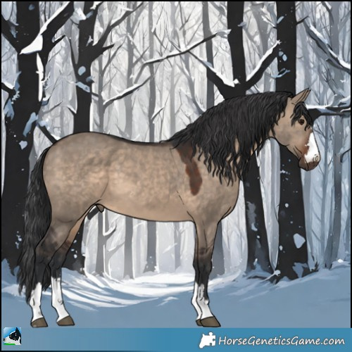 Horse Color:Brown Dun 