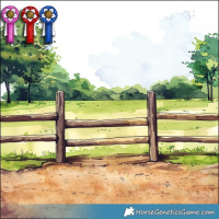 Horse Color:Brown Tobiano 