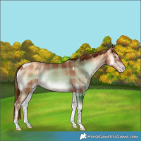 Horse Color:Plaid  Gold Champagne Onyx Tobiano 