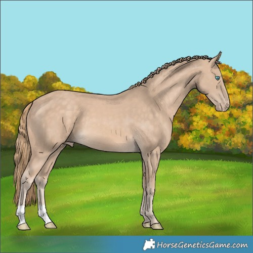 Horse Color:Perlino 
