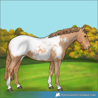 Horse Color:Chestnut Tobiano Snowcap 