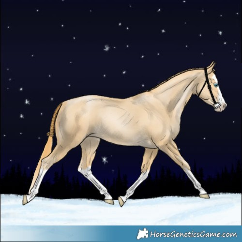 Horse Color:Smoky Black Pearl Splash 