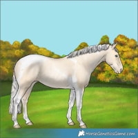 Horse Color:Silver Amber Cream Champagne Pearl Tobiano Rabicano 
